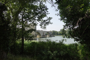 Fleuriste Avignon