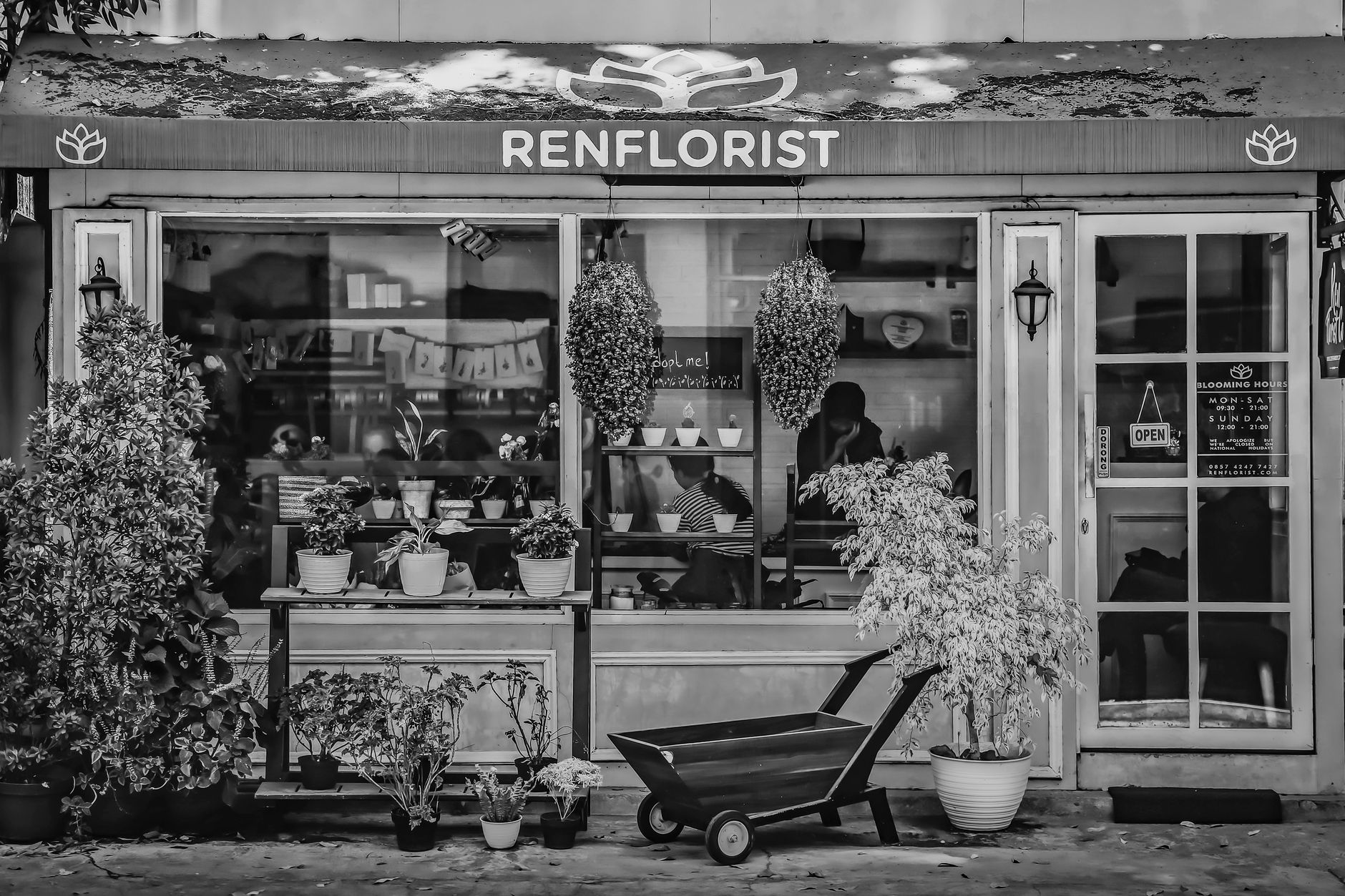 Fleuriste à Avignon